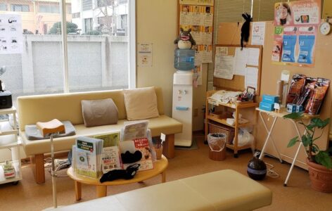 どんぐり整骨院八幡本院