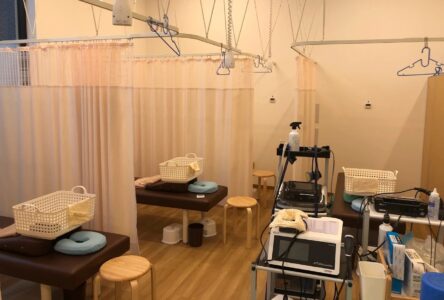 どんぐり整骨院東照宮店